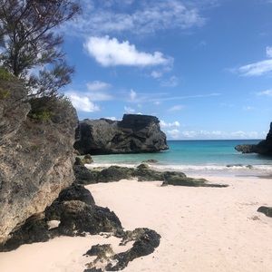 Meet your Posher, Jane